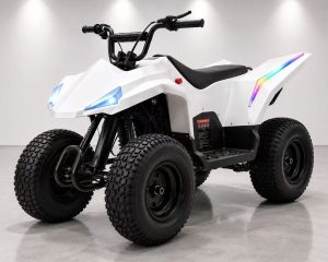 Mini Quad Pro